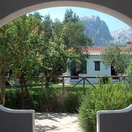 Agriturismo Guthiddai Oliena Exterior photo