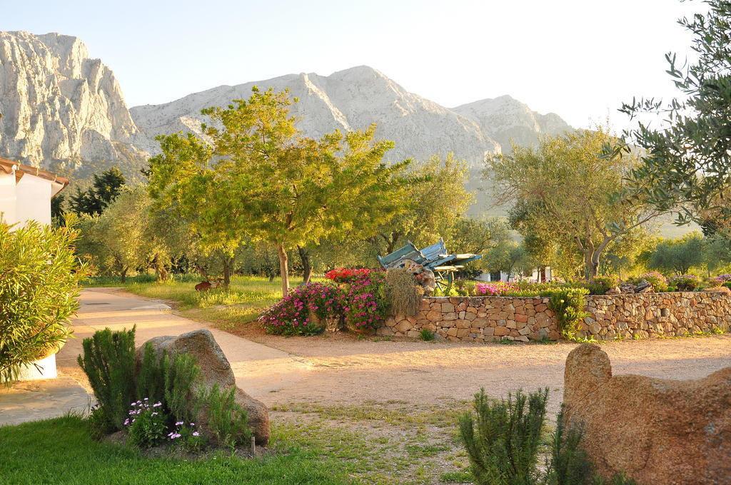 Agriturismo Guthiddai Oliena Exterior photo