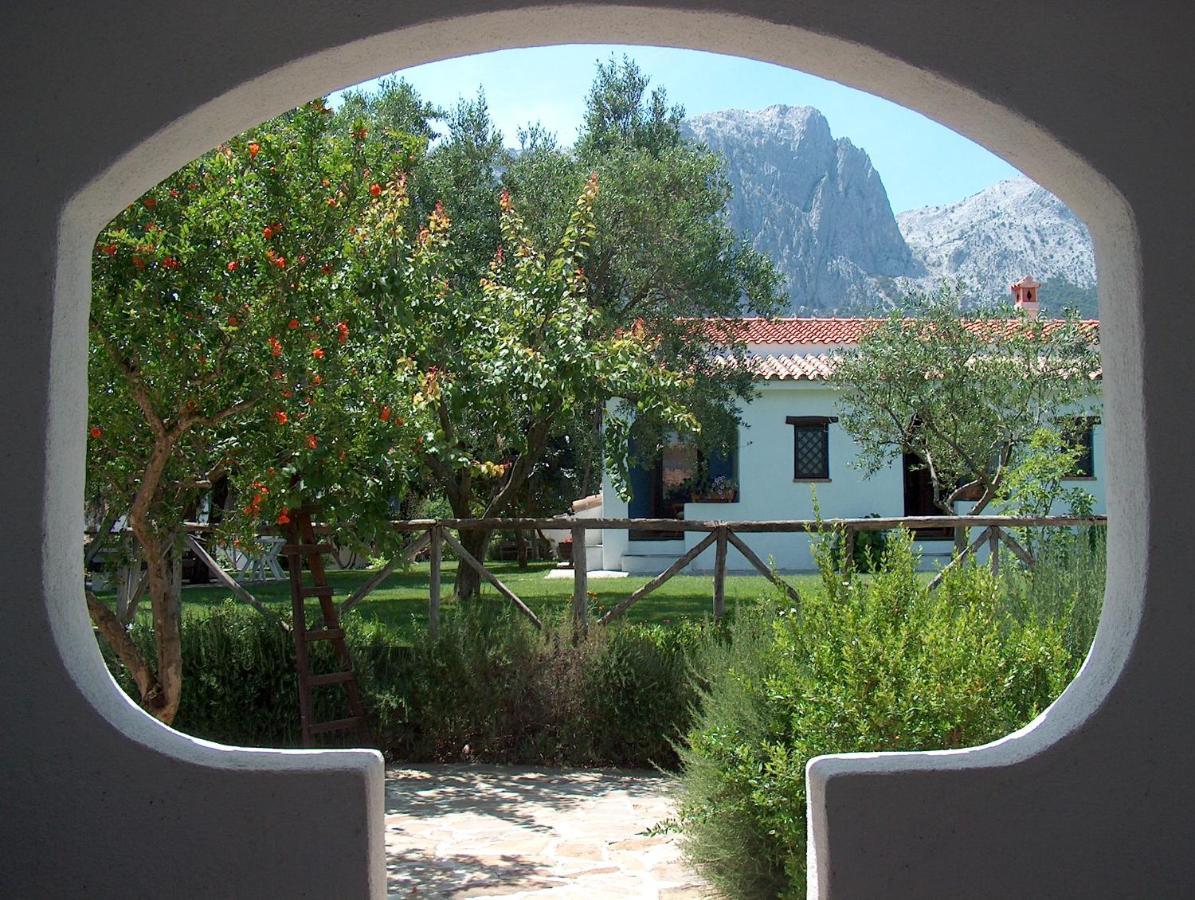 Agriturismo Guthiddai Oliena Exterior photo