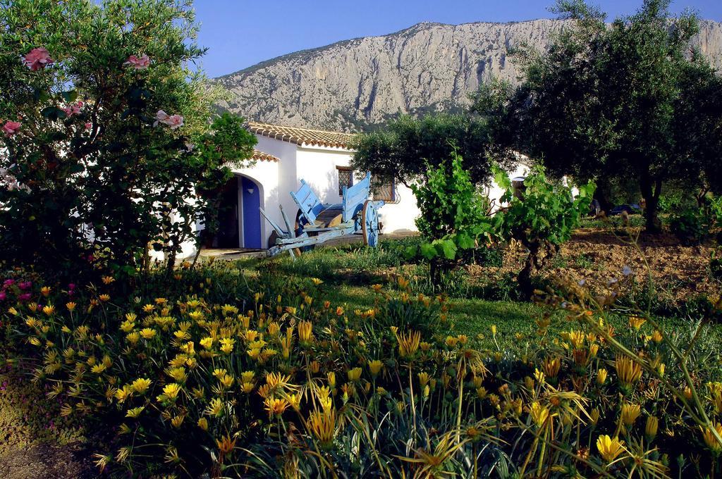 Agriturismo Guthiddai Oliena Exterior photo
